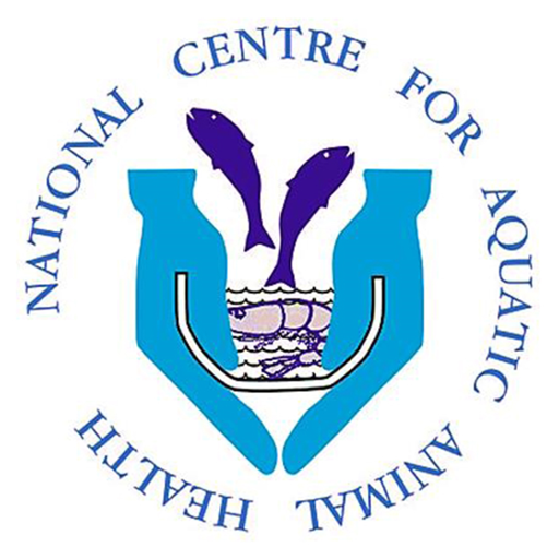 NCAAH-logo